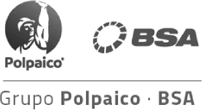 Grupo Polpaico · BSA